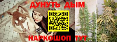 apvp Новозыбков