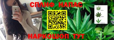 мдпв Новокубанск