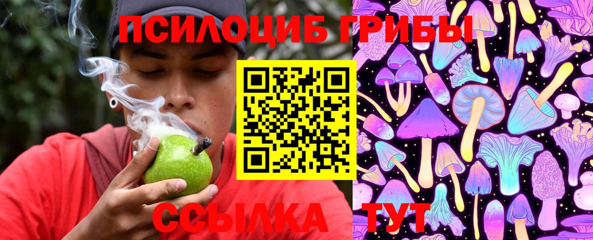 Псилоцибиновые грибы Cubensis Рузаевка